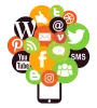 Social Media Marketing (SMM)