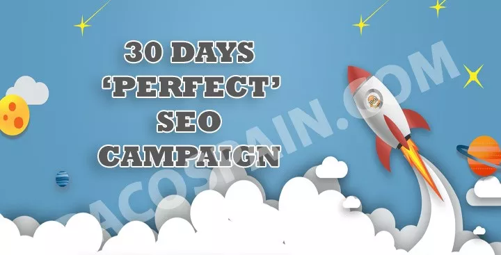 SEO Campaign For Your Website 30 days